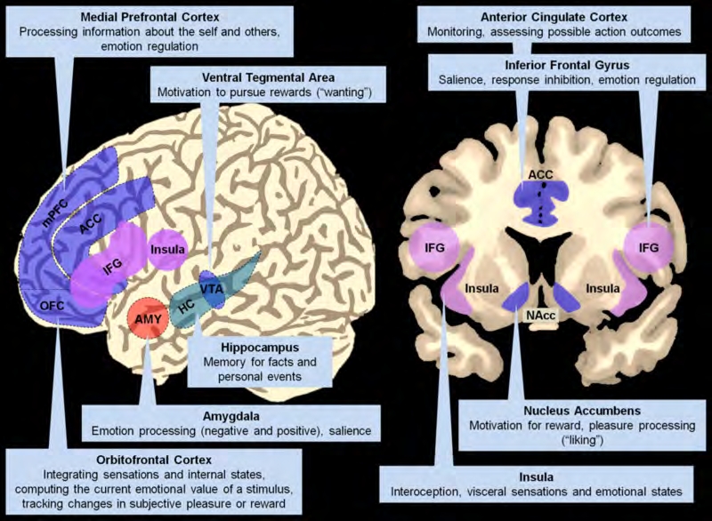 Extracted figure or table from PDF page 0284